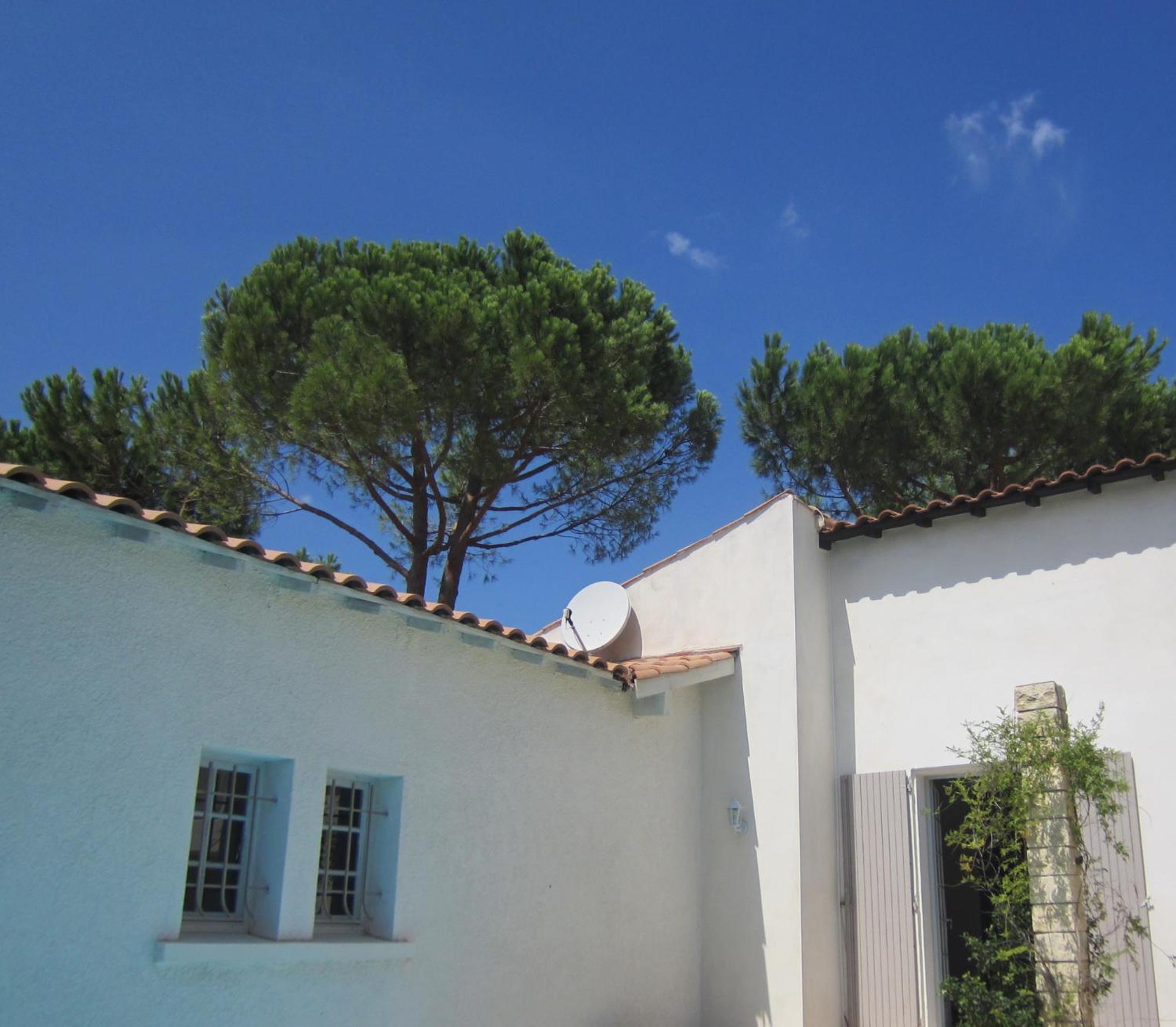 La Fille Du Berger Bed & Breakfast Puissalicon Dış mekan fotoğraf